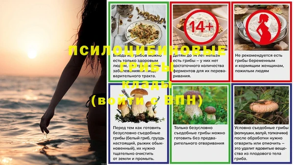 ECSTASY Алексеевка