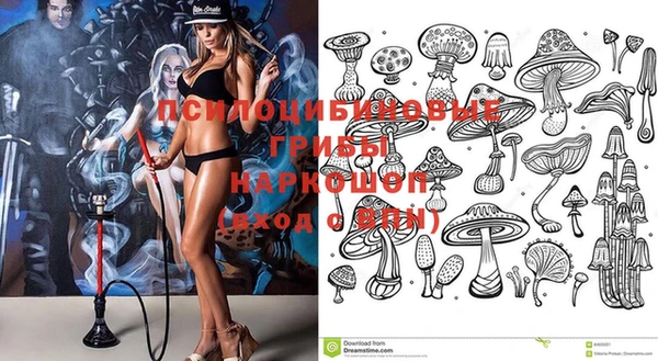 ECSTASY Алексеевка